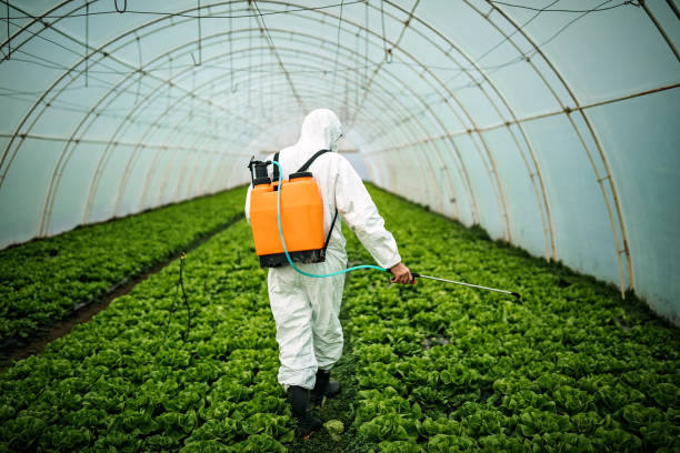 Pest Prevention Services in Austintown, OH