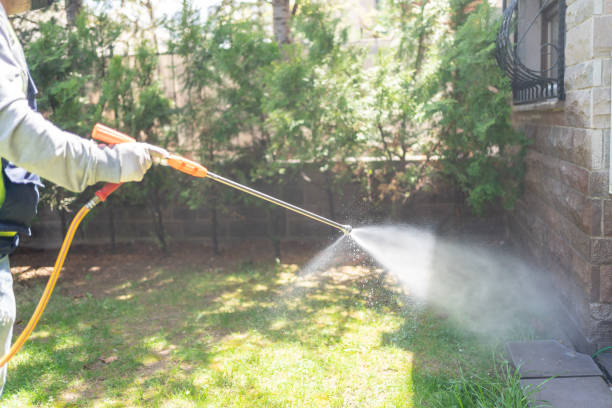Best Cockroach Control Services  in Austintown, OH