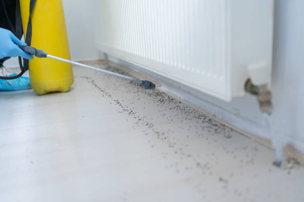 Best Pest Removal Services  in Austintown, OH